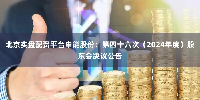 北京实盘配资平台申能股份：第四十六次（2024年度）股东会决议公告