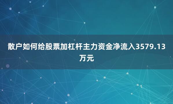 散户如何给股票加杠杆主力资金净流入3579.13万元