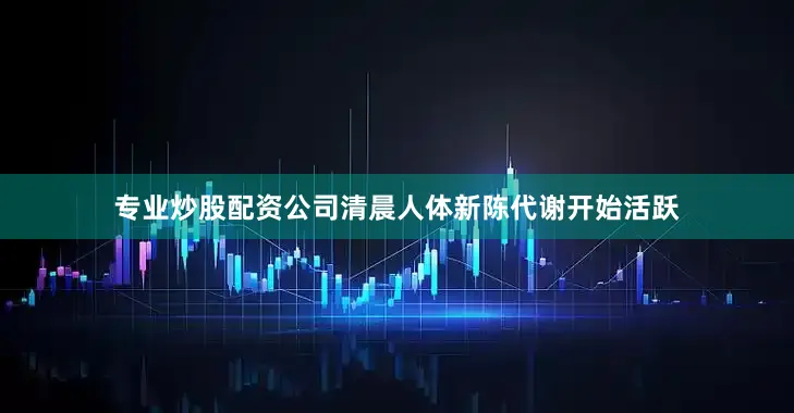 专业炒股配资公司清晨人体新陈代谢开始活跃