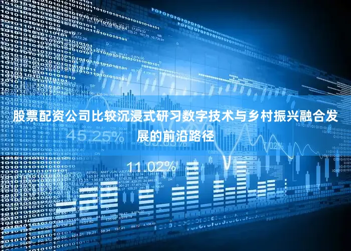 股票配资公司比较沉浸式研习数字技术与乡村振兴融合发展的前沿路径